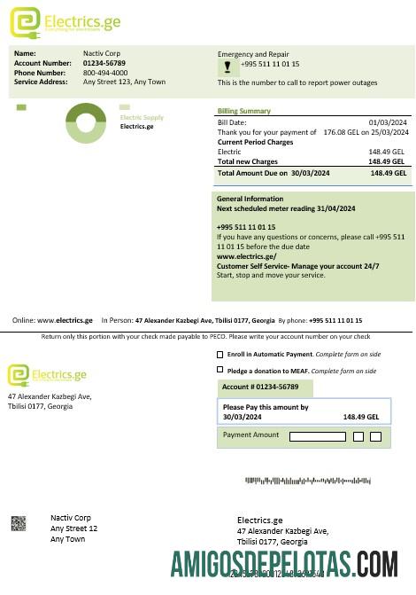 Para baixar modelo de fatura comercial de eletricidade da Georgia Electrics.ge em formatos Word e PDF1